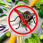 Insectele nu suportă această legumă. Soluția ieftină care le ține la distanță